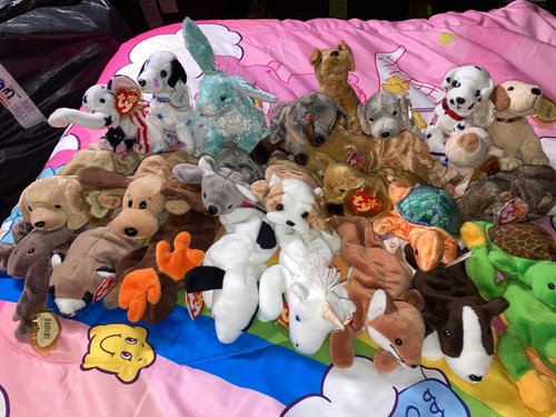 TY Beanie Babies LOT of 12 Beanies - Picture 6 of 17