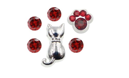 Floating Charm Charms Cat Birthstones Paw Lover Pet fit Glass Lockets - Picture 4 of 15