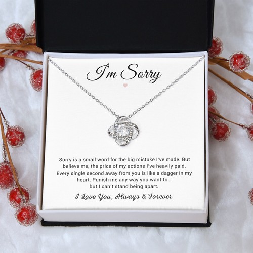 I'm Sorry Necklace Gifts, Apology Gifts For Her, Forgiveness Gift, Birthday Gift - Picture 7 of 13