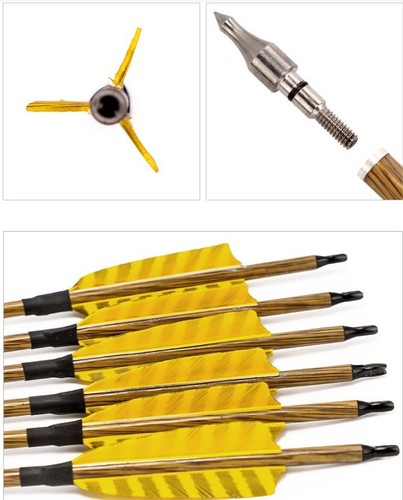 12pcs 31" Carbon Arrows Feather Compound Recurve Bow Hunting Target SP500  - Bild 8 von 8