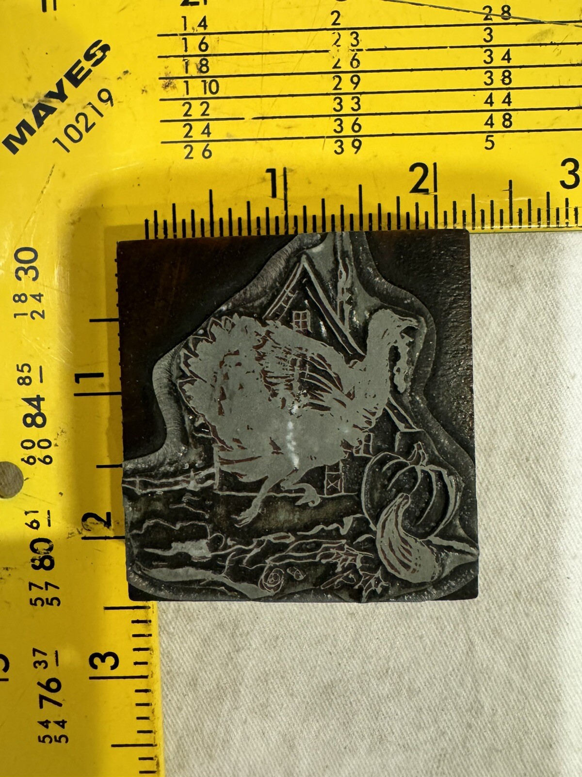 Picture 5 of 6