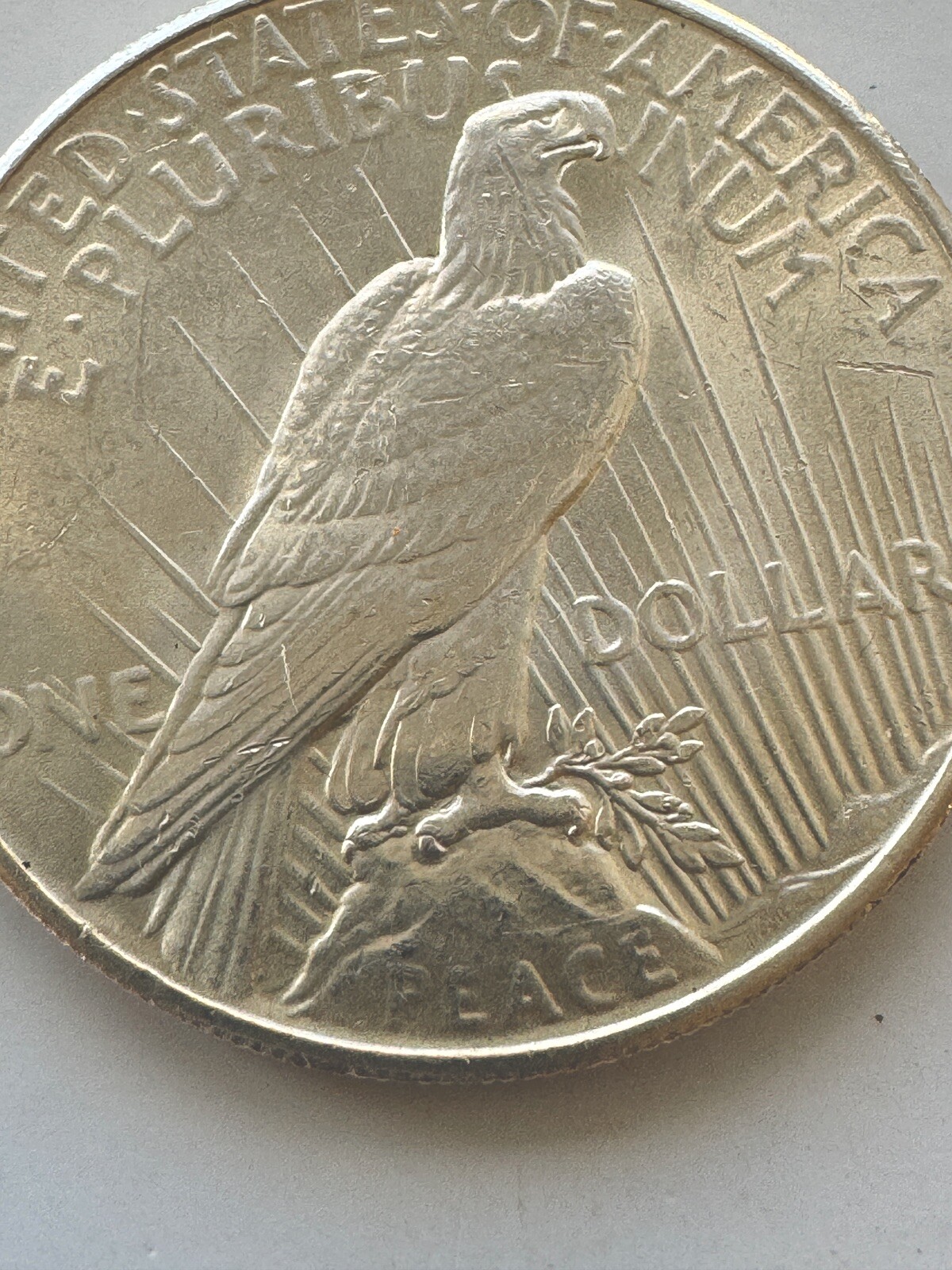 Picture 3 of 3