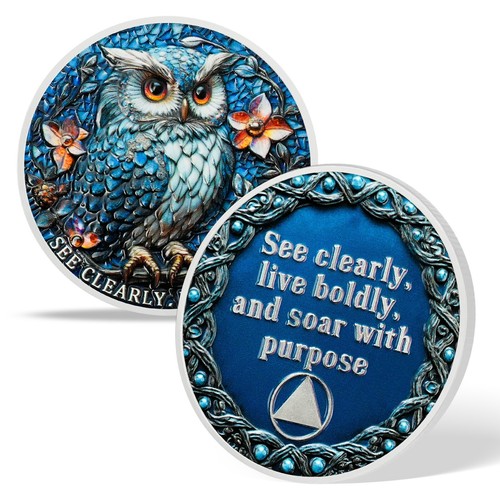 Warning Owl Sobriety Coin AA Chips And Medallions Sobriety Gifts For Men Women - Picture 10 of 17