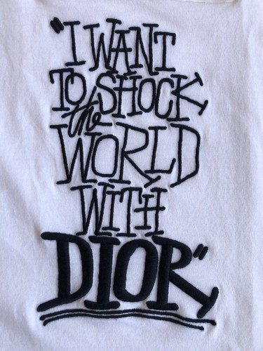 Camiseta DIOR x Shawn Stussy FW20 Want To Shock The World XL L Camiseta Blanca - Imagen 2 de 8