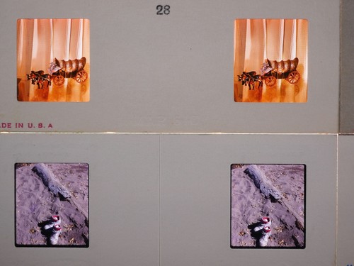 16x Stereo realist slides - Vintage Close-Ups L. Sire 1950's Kodachrome - 第 4/14 張圖片