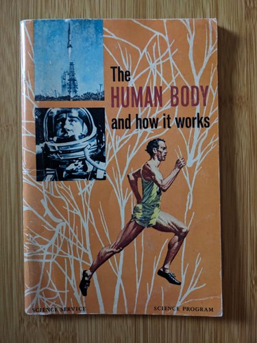 The Human Body and How It Works Science Program Paperback Life Expectancy 1971 - Picture 1 of 4