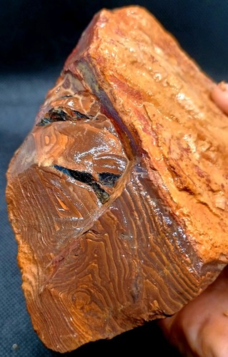 1179g/5895ct Mystery Massive Gamble Boulder Opal Quilpie Strong Blue Colors Top - Picture 17 of 18