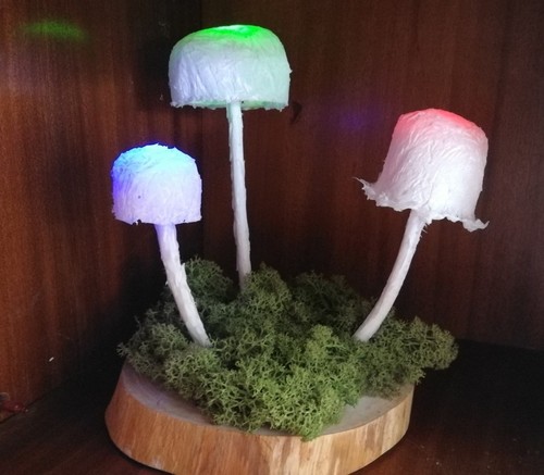Pilzlampe (langsamer Farbwechsel, Multicolor) 1 Woche Laufzeit mit 1x AA Akku - Bild 2 von 18