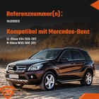 Bild 5 von 12