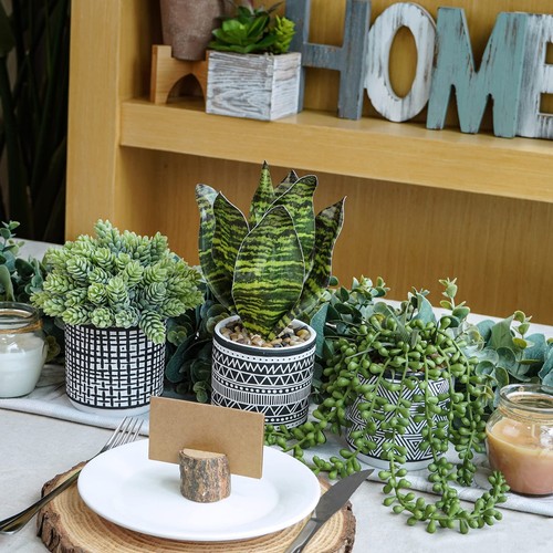 3 Pcs Small Potted Plants Artificial Succulents Hanging Plants and Faux Tropical - Picture 2 of 9