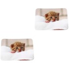 1Pc Animal Cat Türmatte Feiner rutschfester Flanell-Bodenbelag Rutschfester