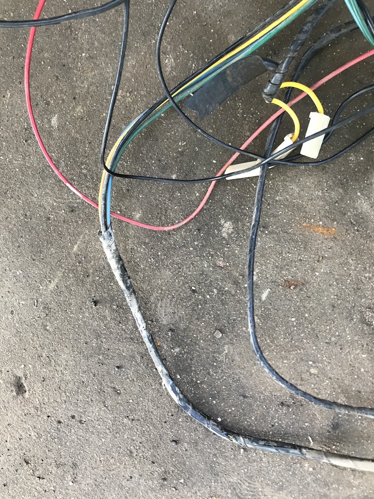 Picture 6 of 6