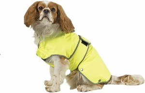 Ancol Stormguard 40cm Hi-Visibility Dog Coat - Medium