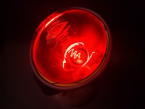 Lampada Philips Infrafila Luce Rossa Infrarossi Testata a Calore - Foto 14 di 19