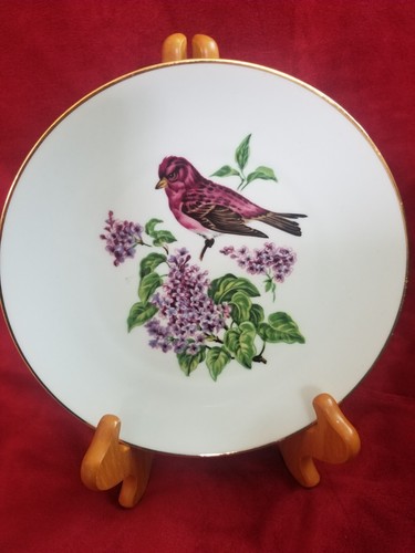 4 Bareuther Waldsassen Bavaria Germany bird 8" plates gold trimmed. Cup - Picture 6 of 9