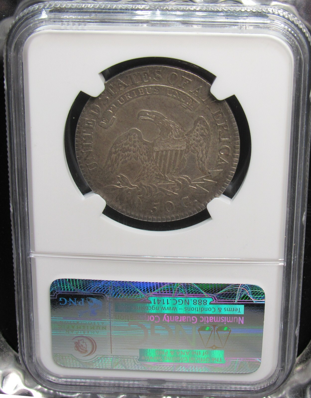 Picture 4 of 4
