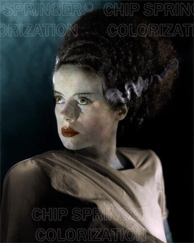 ELSA LANCHESTER BRIDE OF FRANKENSTEIN (#1) MONSTER COLOR PHOTO BY CHIP SPRINGER - Picture 1 of 1