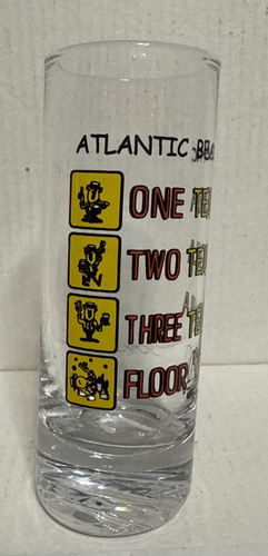 Atlantic City Beach NC Leaning Shot - Picture 2 of 4