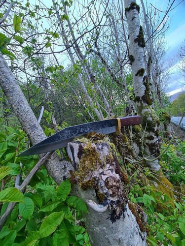 Handmade Long seax knife, hand forged Viking knife, fixed blade knife with cover