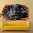 CHARTREUX BLACK PUSSY CAT WALL STICKERS 3D ART MURAL ROOM OFFICE SHOP DECOR VU3