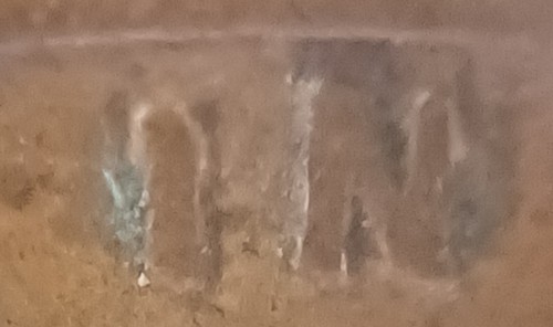 1954 D Wheat Penny RPM D over D with Lamination On "O" Reverse Error Coin  - Picture 7 of 12