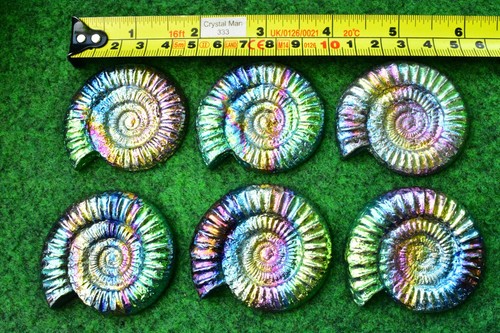 Bismuth Ammonite Crystal Fossil Mineral 5cm Titanium UK Quick Postage✔✔✔ - Picture 5 of 21