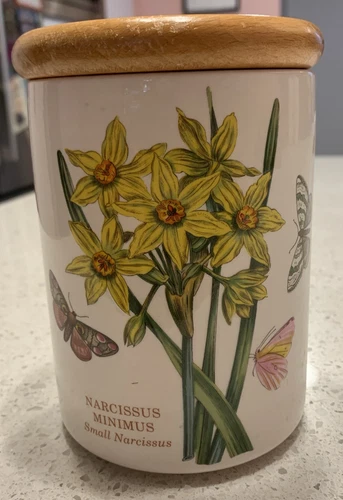 1972 Portmeirion The Botanic Garden Narcissus Minimus 5 1/2” Canister Wooden Lid