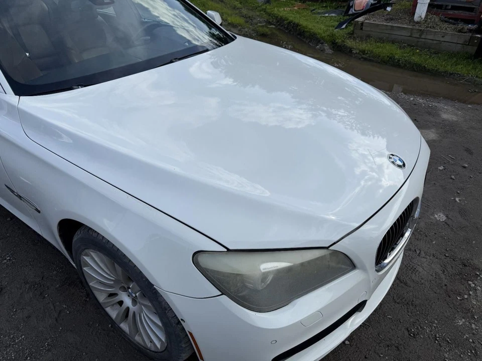 BMW 750i 2009-2015 capó blanco Foto 2 de 4
