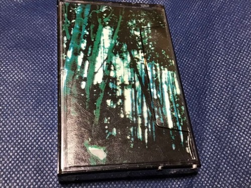 Used Fancy Heaven "Gajimaru/Ringo" Ladies Band New Wave - Picture 1 of 4