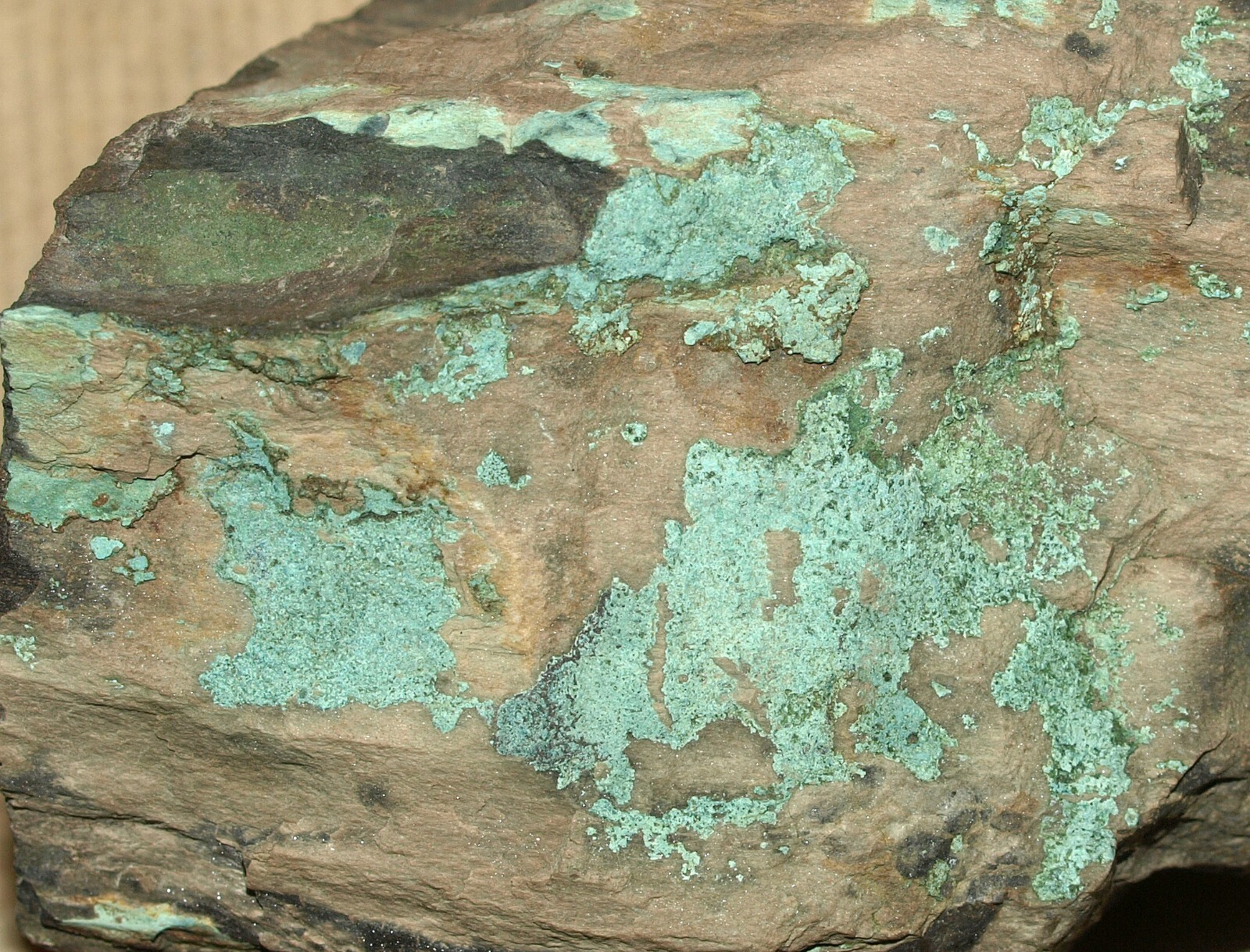 Picture 6 of 17