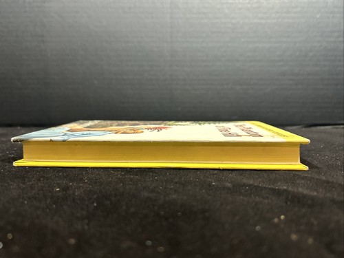 Nancy Drew 42 Das Phantom von Pine Hill Carolyn Keene Hb 1986 - Bild 5 von 11