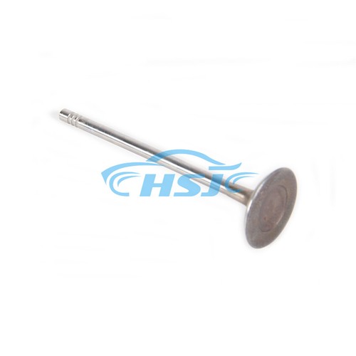 2.0T 16PCS Intake & Exhaust Valves Fit For BMW X3 X4 MINI Cooper - Bild 8 von 11
