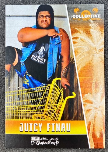 2021 GCW COLLECTIVE REMIX VOLUME 1 (COMPLETE YOUR SET) AEW WWE NXT AAW ROH RC - Bild 12 von 98
