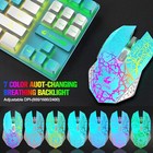 Afbeelding 43 van 55