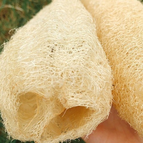 3 × 12 Zoll Loofah Schwamm kompostierbar Luffa Peeling Schwamm Küche Geschirrtuch - Bild 5 von 6