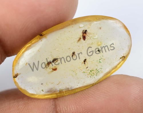 7,40 ct 100 % natürlicher gelber Bernstein Insekteneinschluss zertifiziert loser Edelstein - Bild 7 von 7