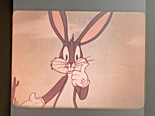 Wacky Wabbit 16mm WB color cartoon Bugs Bunny Elmer Fudd 1942 E-923-3 7.3 imdb - Picture 6 of 8