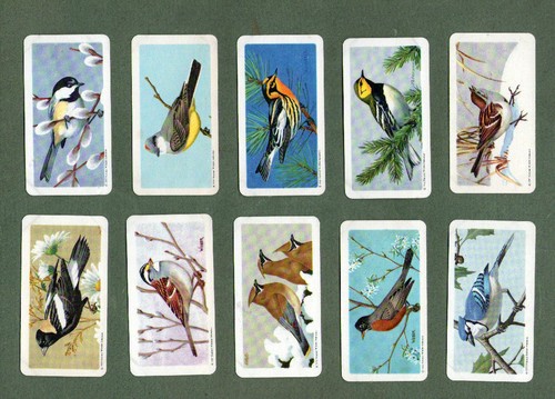 Tarjetas de comercio/cigarrillo Song Birds of North America - Imagen 4 de 5