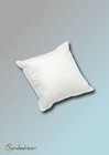 40 X 40 Cm Very High Quality Pillow New Goose Feathers Pillow 300 G