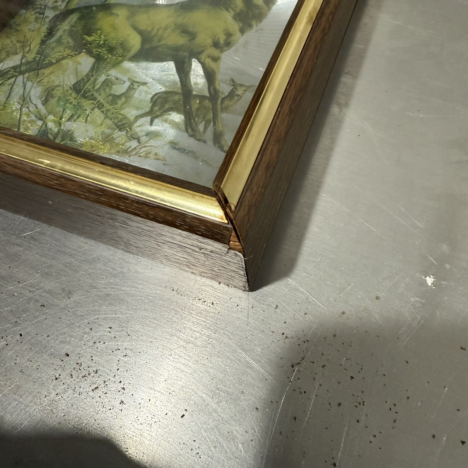 Picture 4 of 10