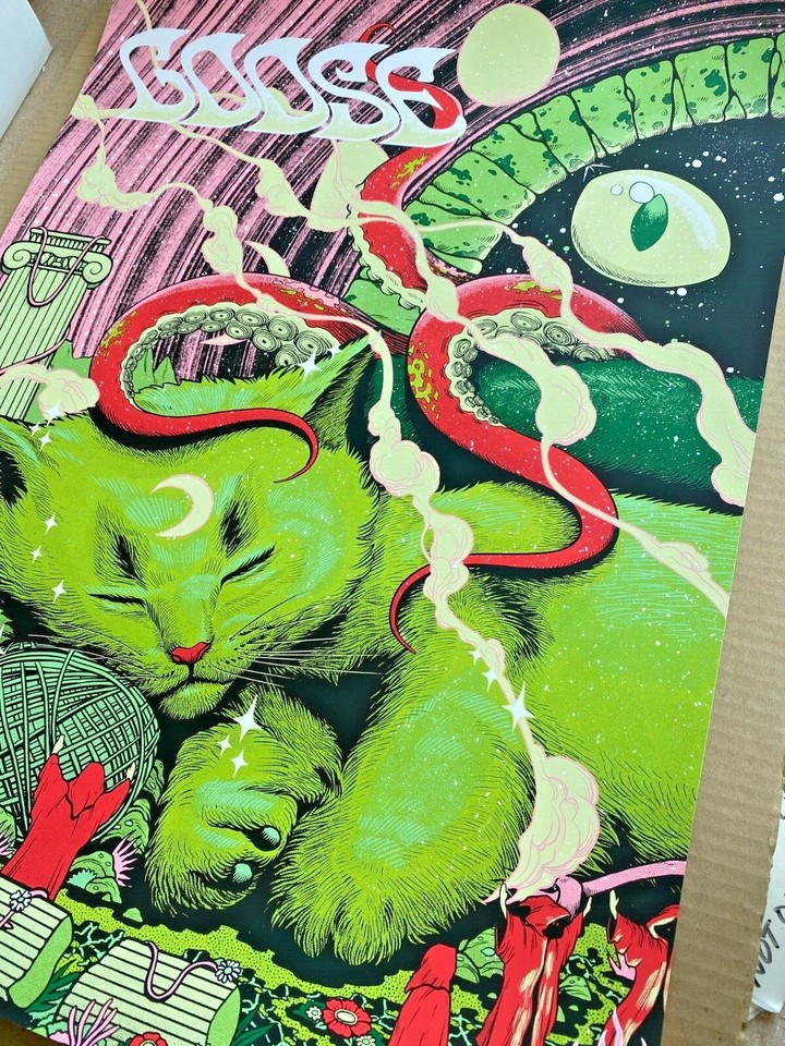 GOOSE the band Wilmington NC June 14th N1 2022  Only Variant Poster