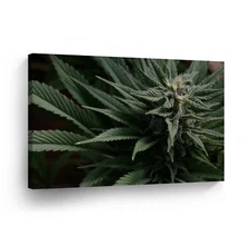 SMOKE WEED WALL ART Marijuana Leaf Plant Weed Get High Canvas Print Home Decor