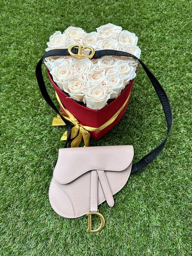 Dior Saddle Belt Pouch Waist Blush Beige Poudre Pink Belt Bag Gold Sold Out - Picture 5 of 19