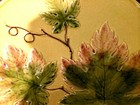 Bild 4 von 5