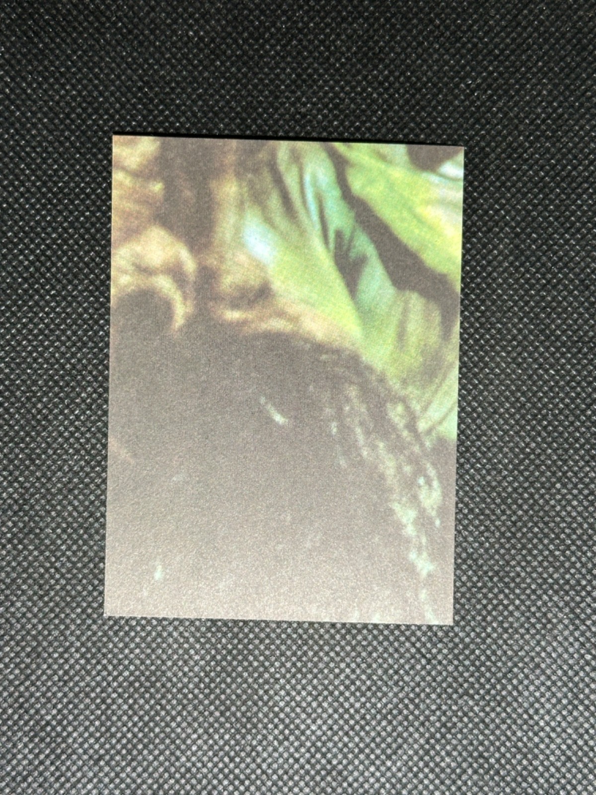 Picture 92 of 262