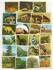 Flora and Fauna Edis Lot 23 Stickers