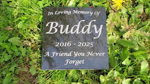 Pet Memorial Granite Stone Engraved Grave Marker Headstone Garden Plaque d6 - Video 1 of 1