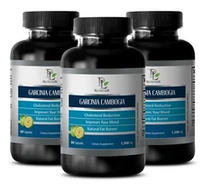 blood sugar ketone - GARCINIA CAMBOGIA - garcinia cambogia weight loss pills 3B