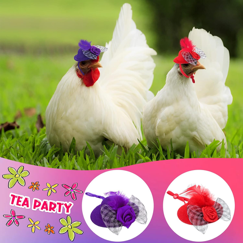 8 Pieces Chicken Leash Chicken Harness and Hat for Hens Funny Chicken Accessorie - Picture 5 of 7