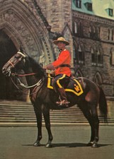 Vintage Royal Canadian Mounted Policeman Postcard RCMP Ottawa 1964